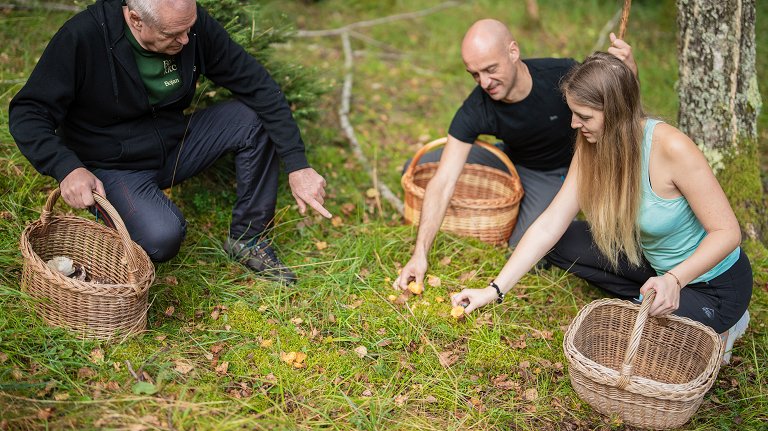 Bovška kuhn'ca • Diši po gobah • Iz Doline Soče Bovška kuhn'ca • Diši po gobah • Iz Doline Soče